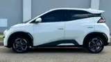 BYD Dolphin Mini - Miniatura 4