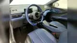 BYD Dolphin Mini - Miniatura 6