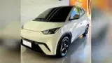 BYD Dolphin Mini - Miniatura 4