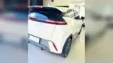 BYD Dolphin Mini - Miniatura 6