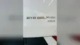 BYD Dolphin Mini - Miniatura 15