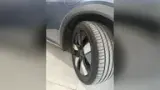 BYD Dolphin Plus - Miniatura 13