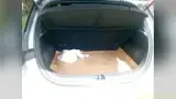 BYD Dolphin - Miniatura 14