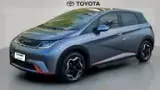 BYD Dolphin - Miniatura 1