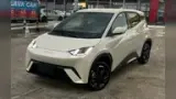 BYD Dolphin Mini - Miniatura 1