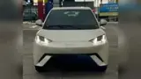 BYD Dolphin Mini - Miniatura 2