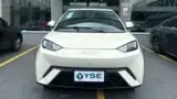 BYD Dolphin Mini - Miniatura 3