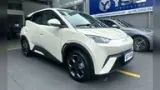 BYD Dolphin Mini - Miniatura 5