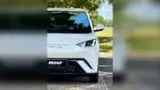 BYD Dolphin Mini - Miniatura 7