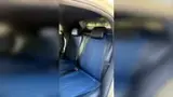 BYD Dolphin Mini - Miniatura 10