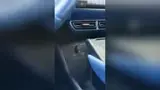 BYD Dolphin Mini - Miniatura 18