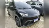 BYD Dolphin Mini - Miniatura 1