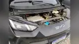 BYD Dolphin Mini - Miniatura 2