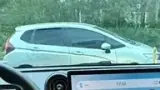 BYD Dolphin - Miniatura 4