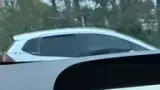 BYD Dolphin - Miniatura 7