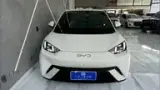 BYD Dolphin - Miniatura 5