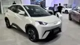 BYD Dolphin Mini - Miniatura 1
