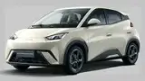 BYD Dolphin Mini - Miniatura 2