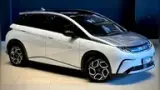 BYD Dolphin Plus - Miniatura 11