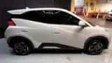 BYD Dolphin Mini - Miniatura 8