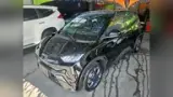 BYD Dolphin Mini - Miniatura 1