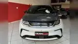 BYD Dolphin Plus - Miniatura 2