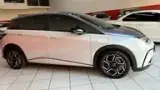 BYD Dolphin Plus - Miniatura 8