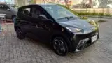 BYD Dolphin Mini - Miniatura 3