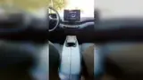 BYD Dolphin Mini - Miniatura 12