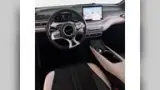 BYD Dolphin Mini - Miniatura 6