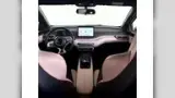 BYD Dolphin Mini - Miniatura 9