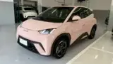 BYD Dolphin Mini - Miniatura 1