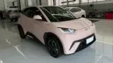 BYD Dolphin Mini - Miniatura 3