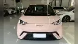 BYD Dolphin Mini - Miniatura 4