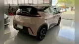 BYD Dolphin Mini - Miniatura 5