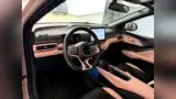 BYD Dolphin Mini - Miniatura 9