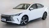 BYD King - Miniatura 1