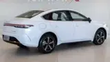 BYD King - Miniatura 2