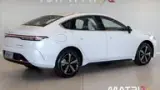 BYD King - Miniatura 20