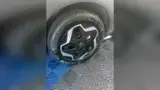 BYD Dolphin - Miniatura 15