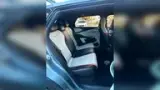 BYD Dolphin - Miniatura 17