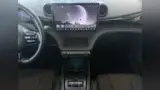 BYD Dolphin Plus - Miniatura 7