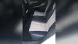 BYD Dolphin - Miniatura 8