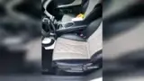 BYD Dolphin - Miniatura 9
