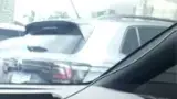 BYD Dolphin - Miniatura 11