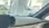 BYD Dolphin - Miniatura 8