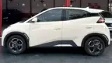 BYD Dolphin Mini - Miniatura 7