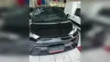 BYD Dolphin Mini - Miniatura 4