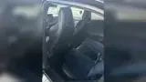 BYD Dolphin Mini - Miniatura 5