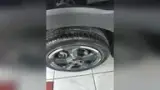 BYD Dolphin Mini - Miniatura 8